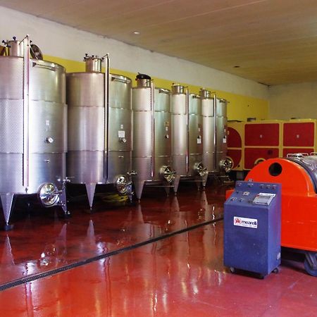 Cascina Bertolotto Wine Resort Spigno Monferrato Exteriér fotografie