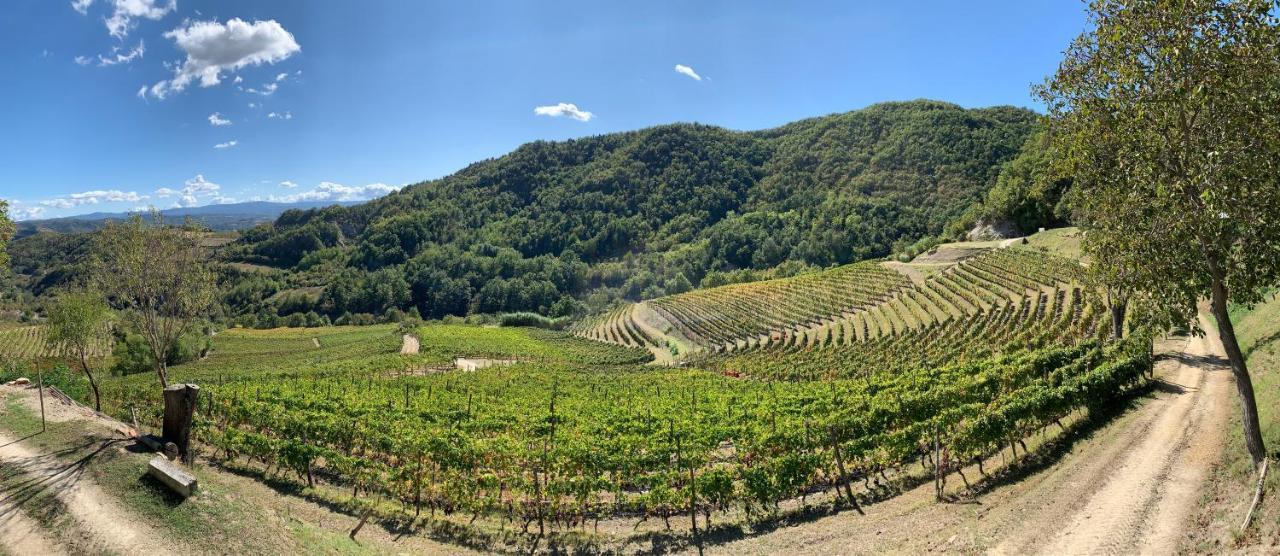 Cascina Bertolotto Wine Resort Spigno Monferrato Exteriér fotografie