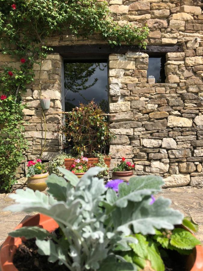 Cascina Bertolotto Wine Resort Spigno Monferrato Exteriér fotografie