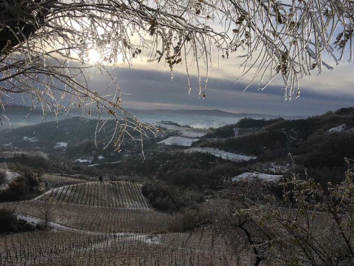 Cascina Bertolotto Wine Resort Spigno Monferrato Exteriér fotografie