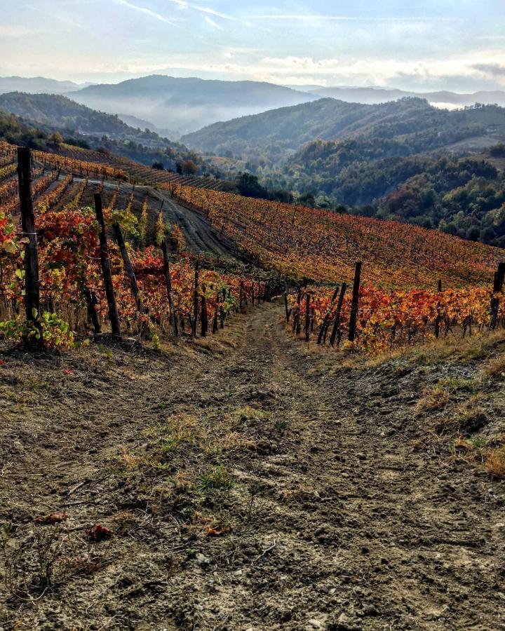 Cascina Bertolotto Wine Resort Spigno Monferrato Exteriér fotografie