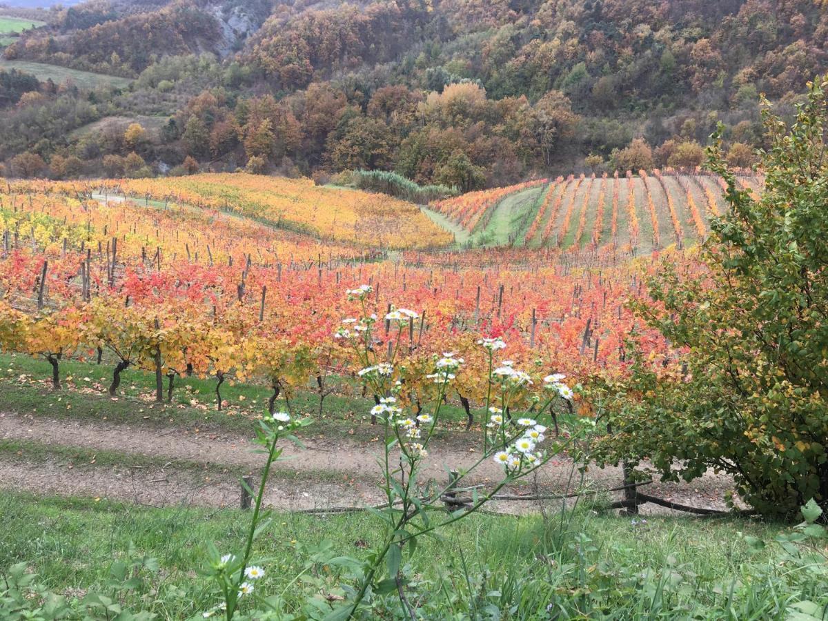 Cascina Bertolotto Wine Resort Spigno Monferrato Exteriér fotografie