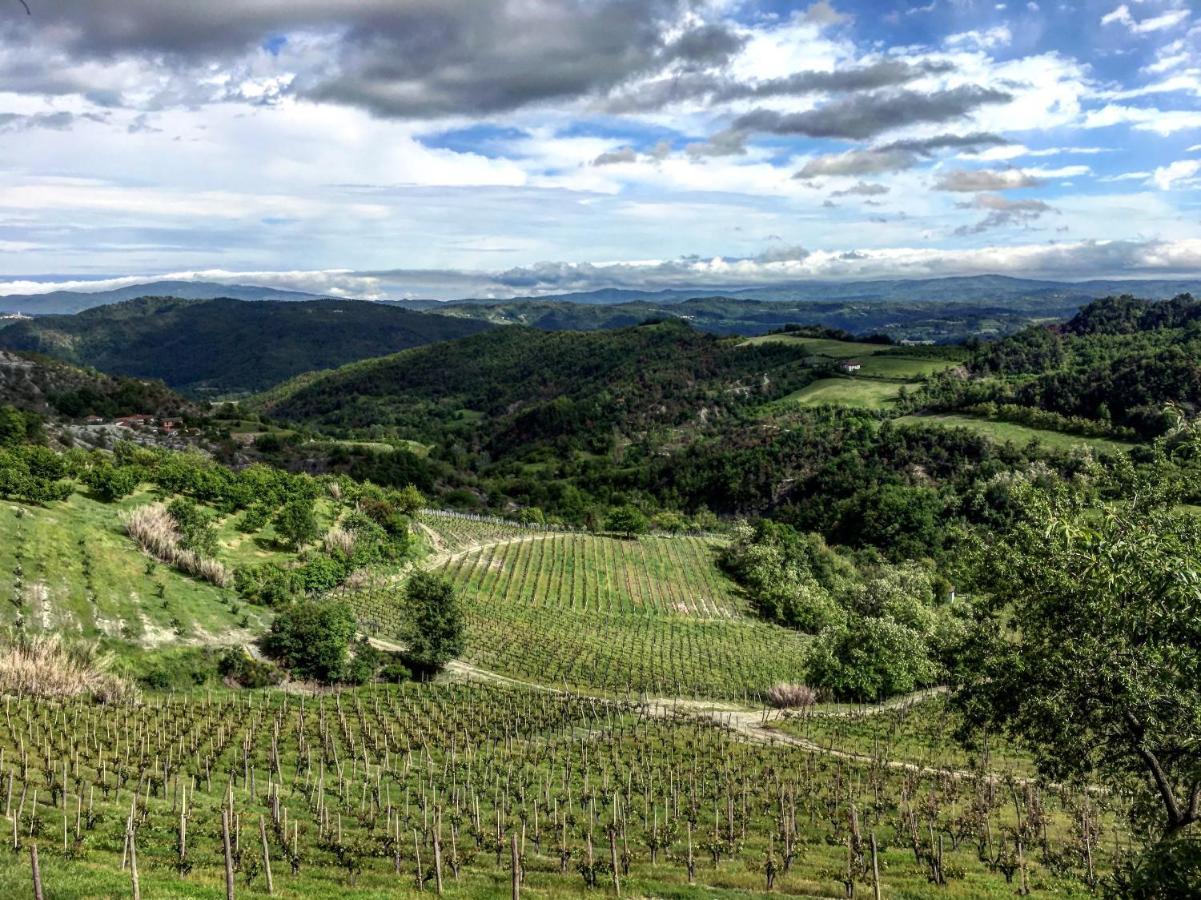 Cascina Bertolotto Wine Resort Spigno Monferrato Exteriér fotografie
