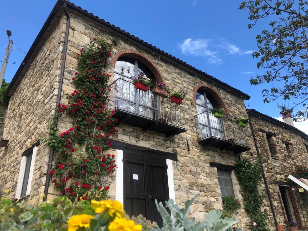 Cascina Bertolotto Wine Resort Spigno Monferrato Exteriér fotografie