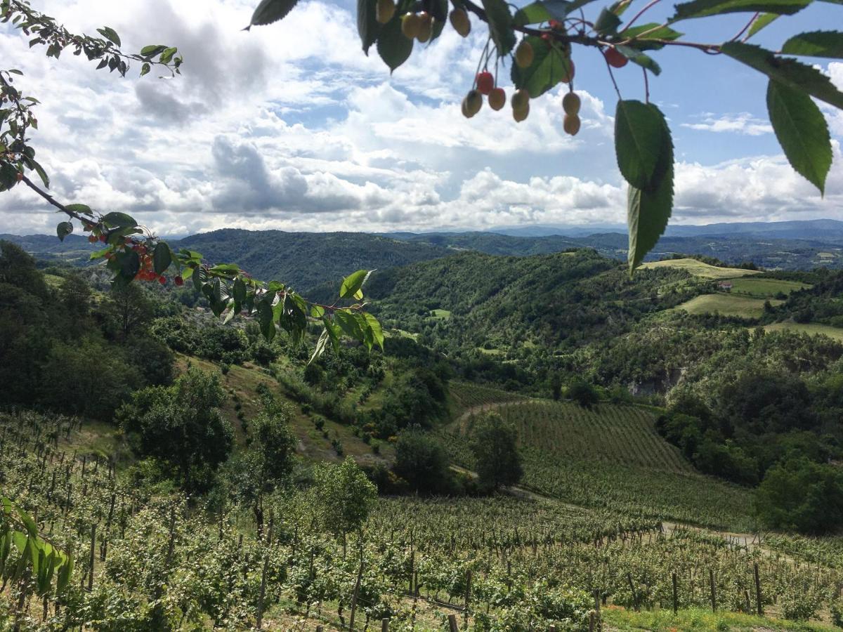 Cascina Bertolotto Wine Resort Spigno Monferrato Exteriér fotografie