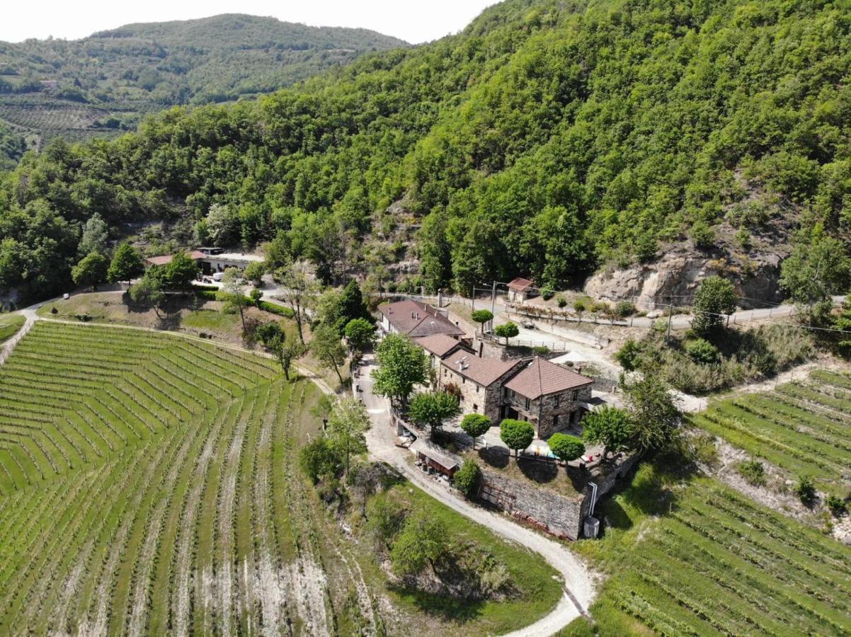 Cascina Bertolotto Wine Resort Spigno Monferrato Exteriér fotografie