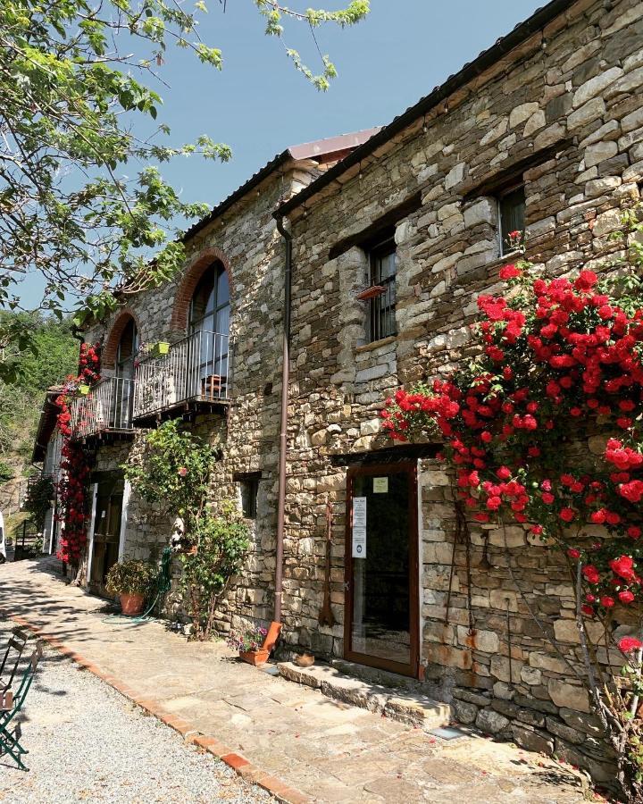 Cascina Bertolotto Wine Resort Spigno Monferrato Exteriér fotografie