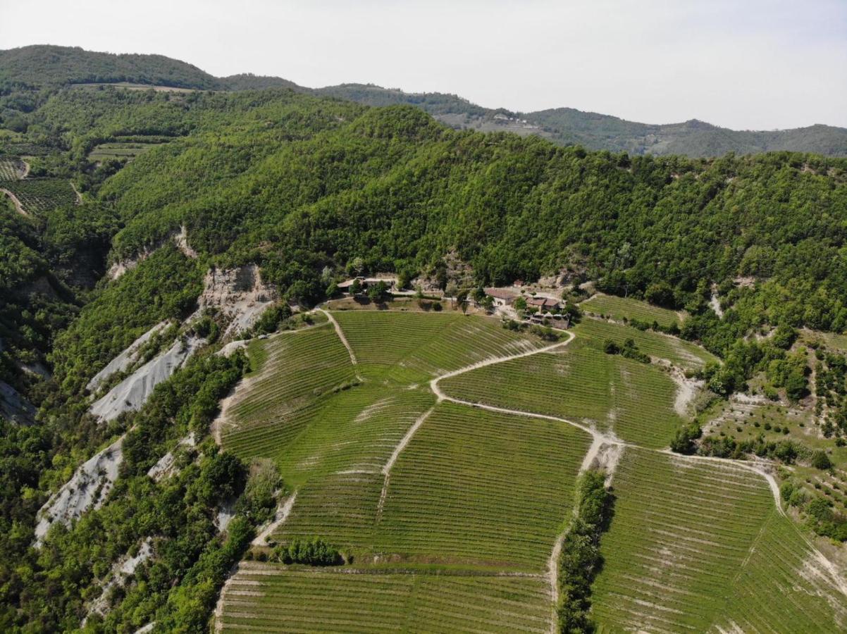 Cascina Bertolotto Wine Resort Spigno Monferrato Exteriér fotografie