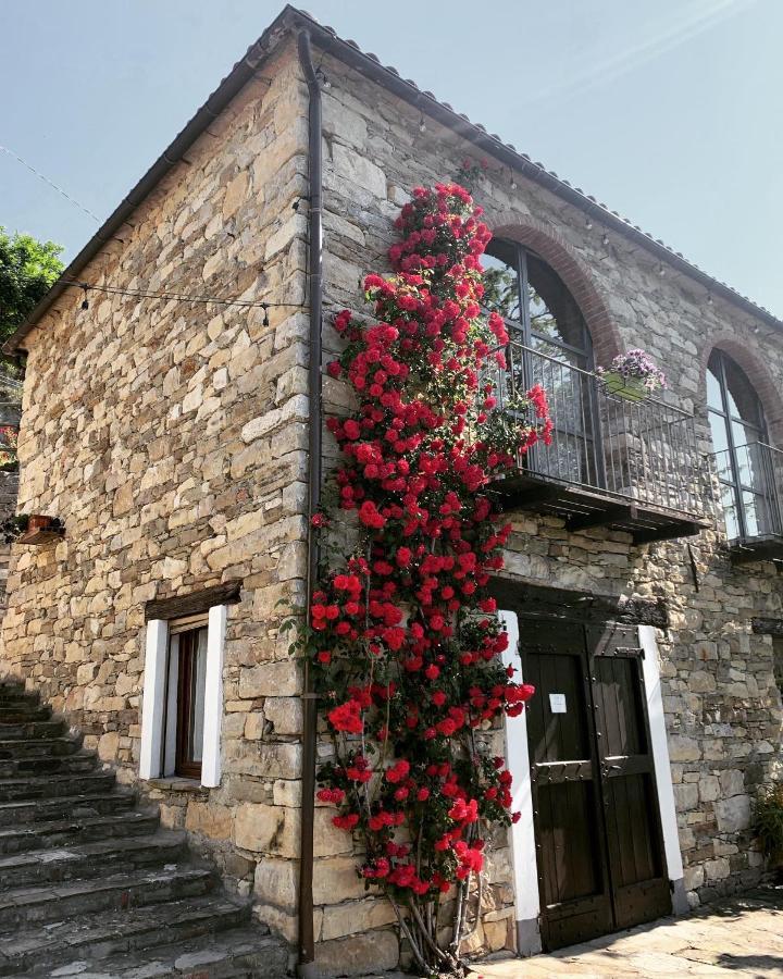 Cascina Bertolotto Wine Resort Spigno Monferrato Exteriér fotografie