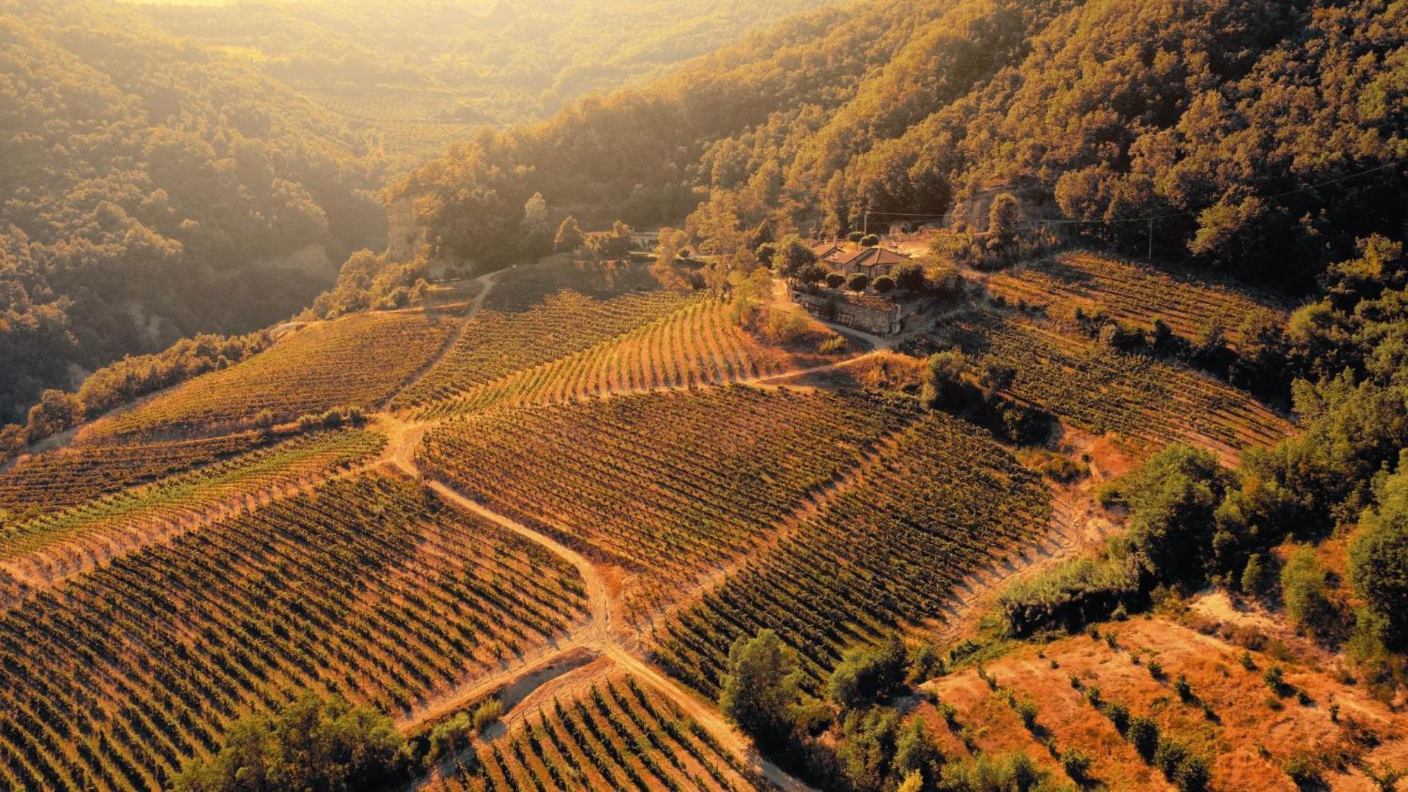Cascina Bertolotto Wine Resort Spigno Monferrato Exteriér fotografie